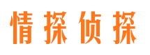 天门市调查公司